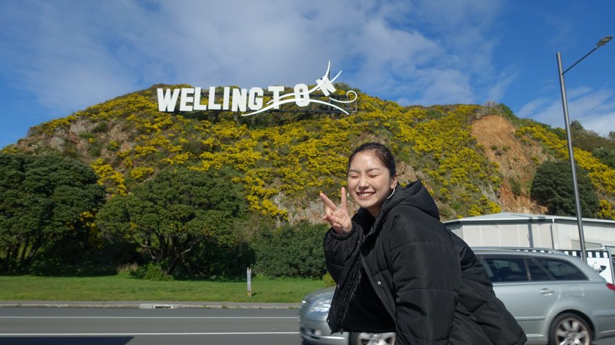 実際に住んでみたニュージーランドの首都《ウェリントン》